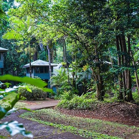 Ferntree Rainforest Lodge Кейп Трибулейшън Екстериор снимка