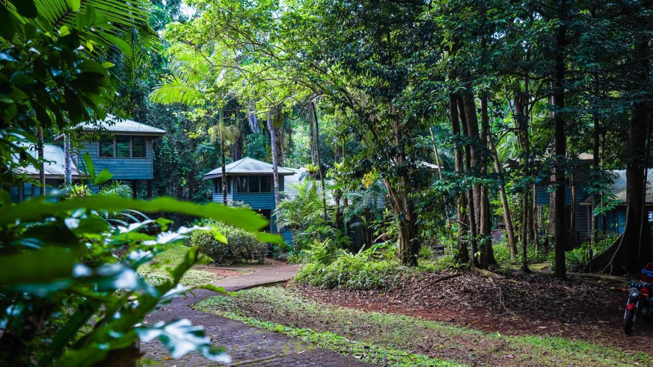 Ferntree Rainforest Lodge Кейп Трибулейшън Екстериор снимка