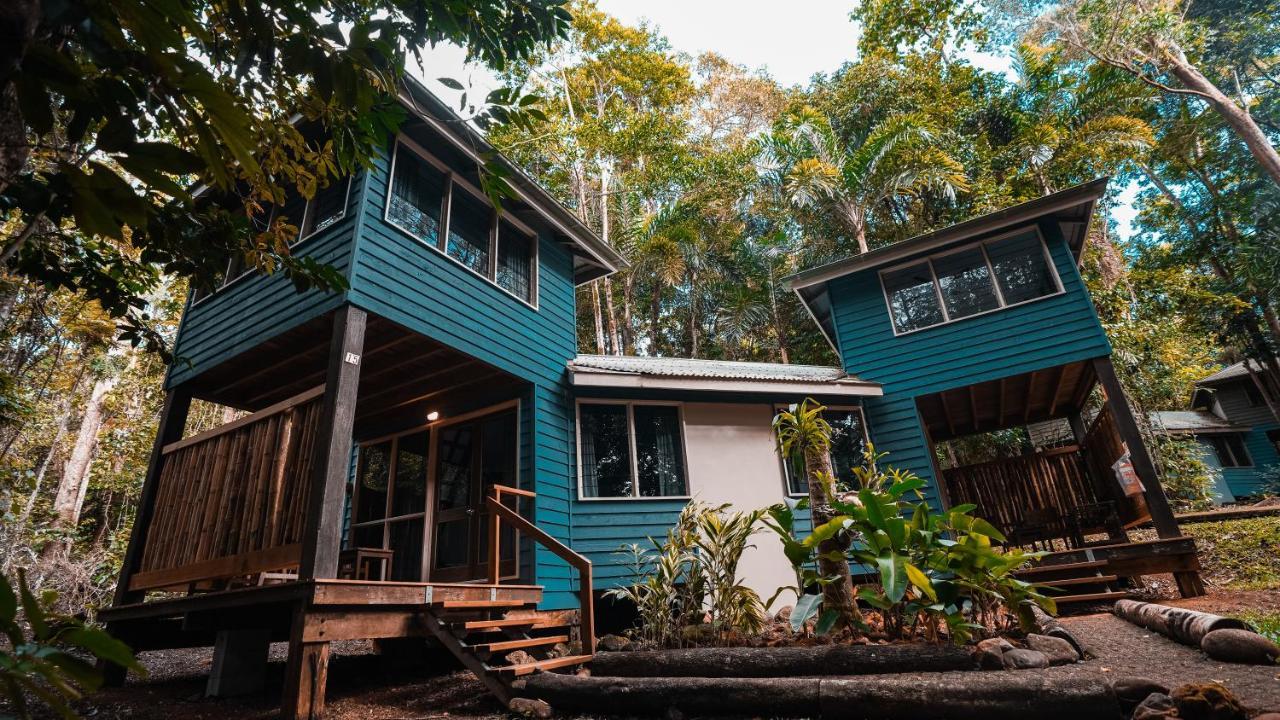 Ferntree Rainforest Lodge Кейп Трибулейшън Екстериор снимка