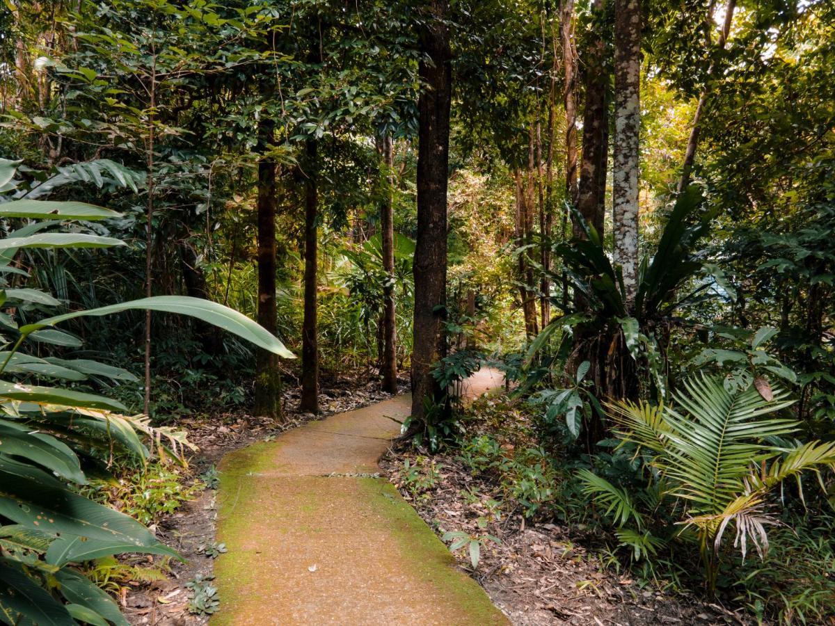 Ferntree Rainforest Lodge Кейп Трибулейшън Екстериор снимка
