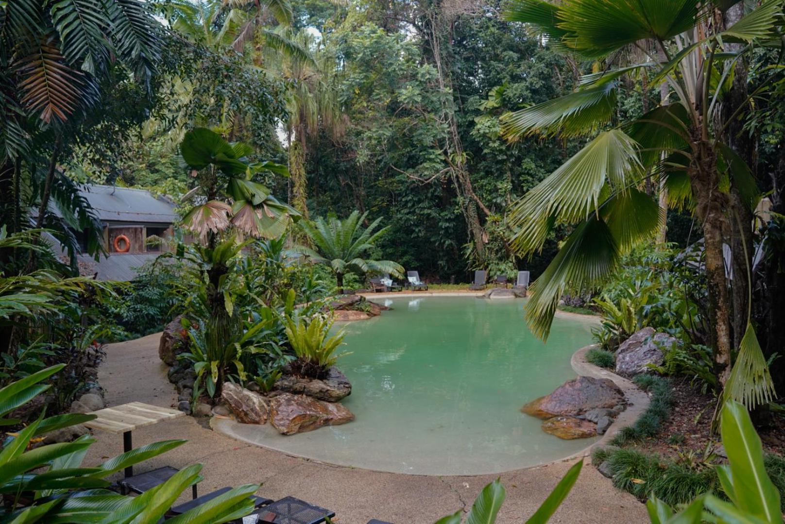 Ferntree Rainforest Lodge Кейп Трибулейшън Екстериор снимка