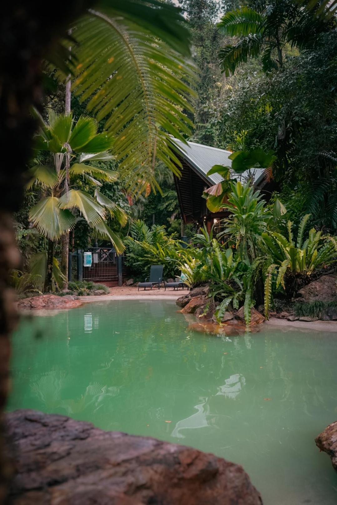 Ferntree Rainforest Lodge Кейп Трибулейшън Екстериор снимка