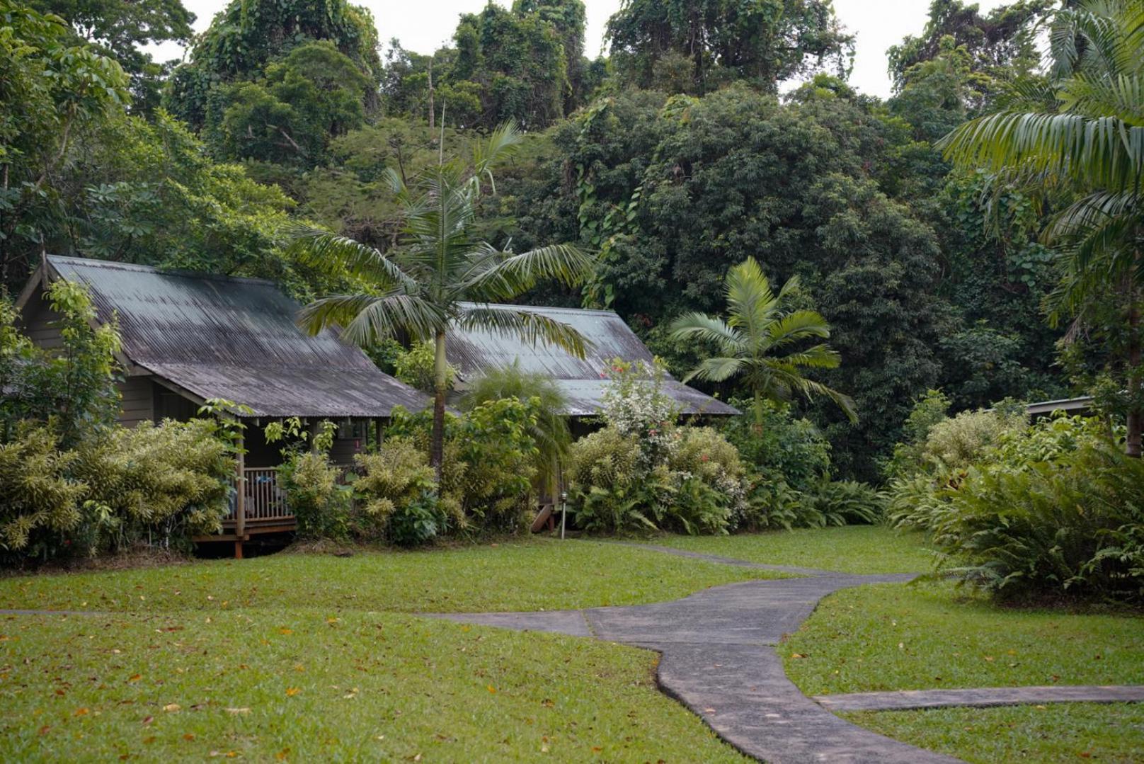 Ferntree Rainforest Lodge Кейп Трибулейшън Екстериор снимка