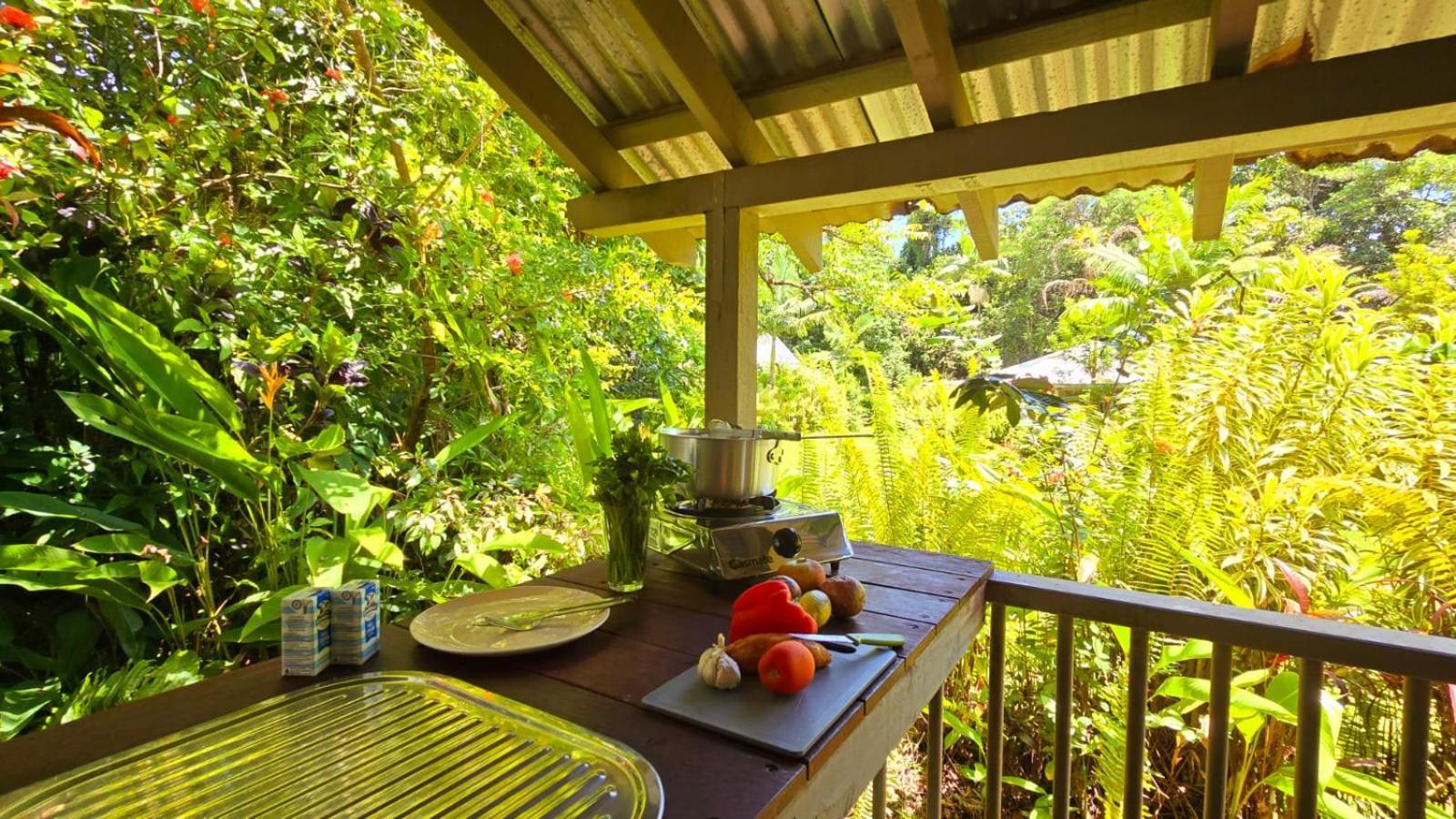 Ferntree Rainforest Lodge Кейп Трибулейшън Екстериор снимка