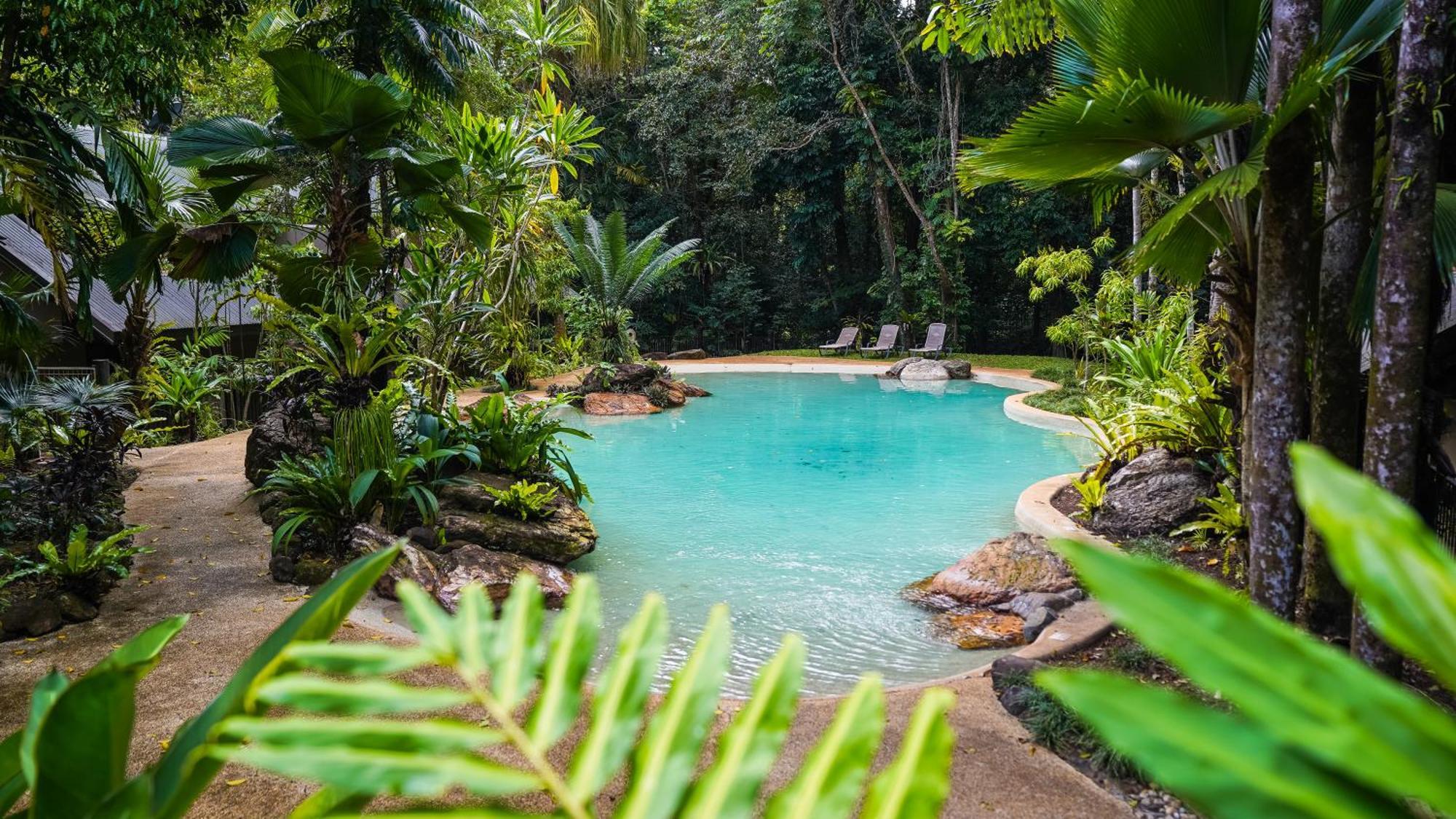 Ferntree Rainforest Lodge Кейп Трибулейшън Екстериор снимка