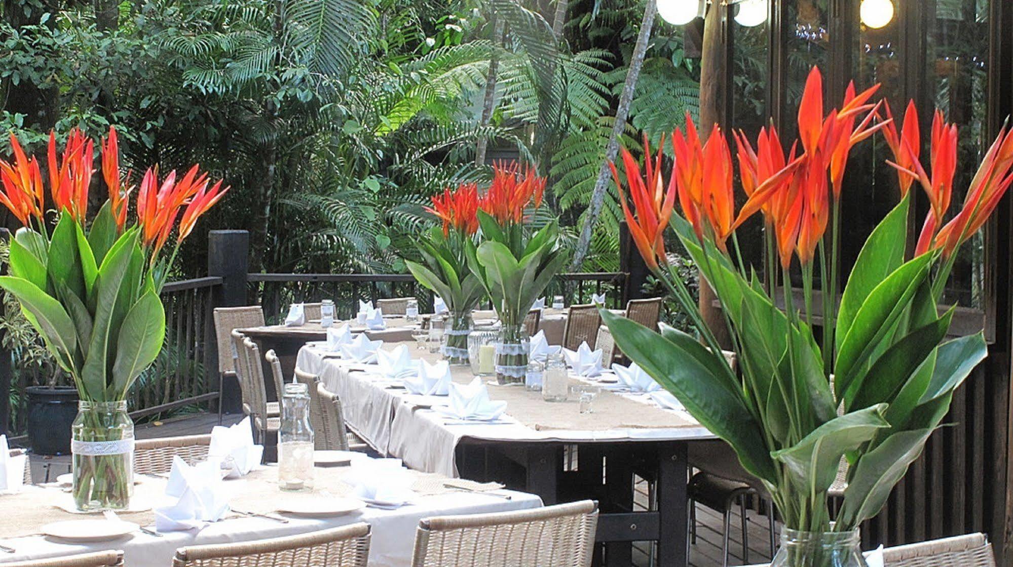 Ferntree Rainforest Lodge Кейп Трибулейшън Екстериор снимка