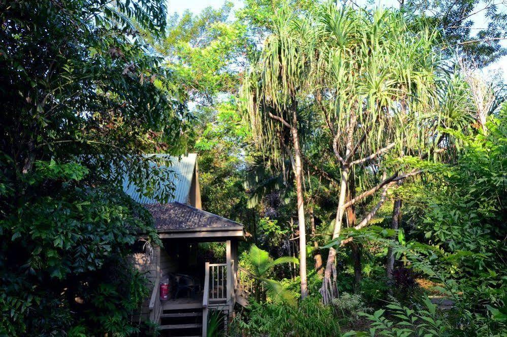 Ferntree Rainforest Lodge Кейп Трибулейшън Екстериор снимка