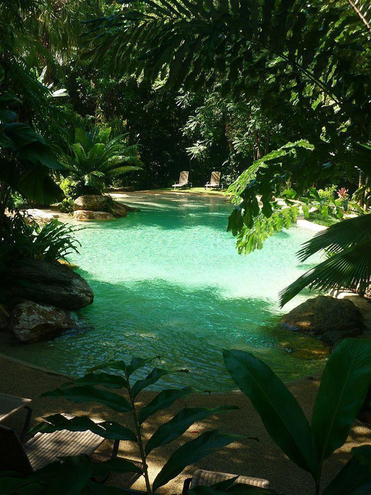 Ferntree Rainforest Lodge Кейп Трибулейшън Екстериор снимка